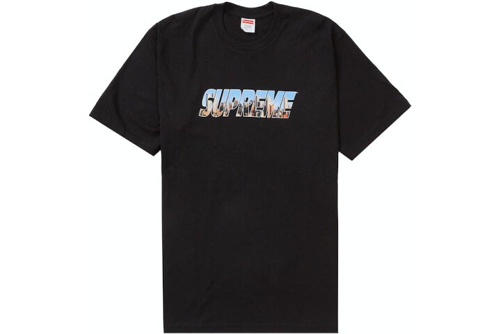 楽天市場】FW23 Supreme Gotham Tee シュプリーム ゴッサム Tシャツ  
