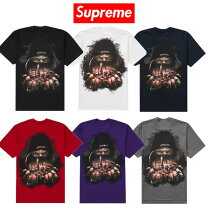 楽天市場】Supreme Fighter Teeの通販