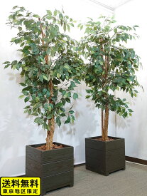 楽天市場 人工観葉植物の通販 楽天市場 人工観葉植物の通販