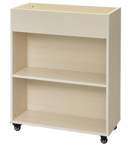 v^[VFt i` RFPLS3-DSNA2 x[W }KWfBXvC t@C[ ؐ yViItBXƋz