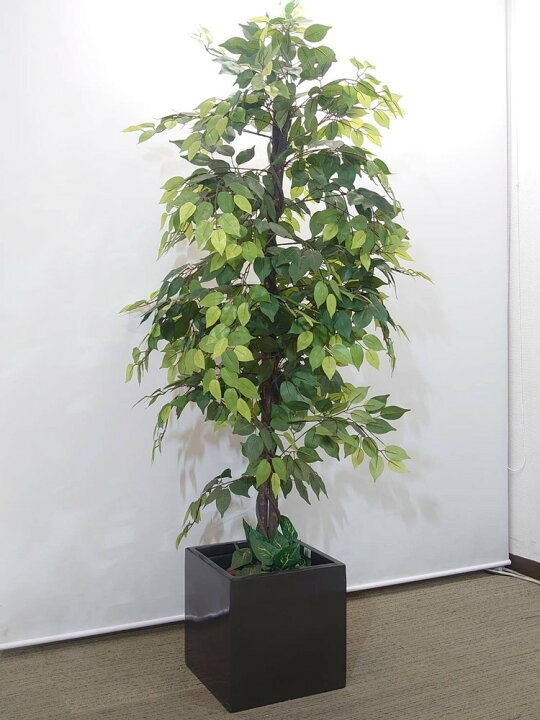 楽天市場】【店頭引き渡し限定】フェイクグリーン オフィスグリーン 