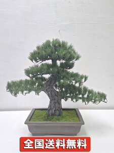 yz ~  ^ lH CeA G} lHϗtA aCeA bonsai tFCN HX ItBX ze  {Ɖ G}Hς Cxg T ՓT j j 