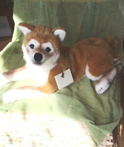 _MtgbsO^y\tE󒍔izP[Z@Č@i\tgj@KOSEN