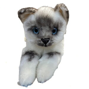 _MtgbsO^y\tE󒍔zKOSEN P[Z ˂ׂLijq}