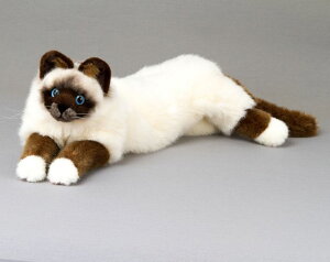 _MtgbsO^y󒍔@\tzP[Z ʂ ˂ׂLq} hCc  A { MtgbsO kosen