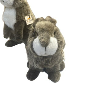 _MtgbsO^P[Z ʂ ETM  x[W hCc  A { MtgbsO kosen