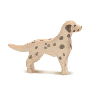 Ostheimer IXgnC}[ ؐtBMA _VA Dalmatian ؂̂ CeA V MtgΉ