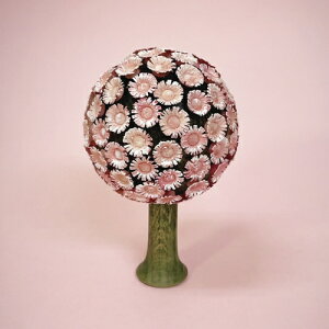 ۂԂ̖؁EsN t[f flade