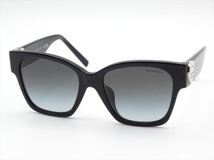 eCt@j[@TF-4216-8001/3C@56C870@TIFFANY&CO. yVsꔭLOZ[I