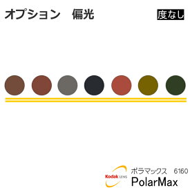 オプション 度付偏光 PolarMax6160 2 ポラマックス2 6160 kodak コダック