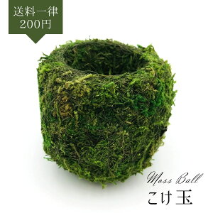 |ށ  a8cm