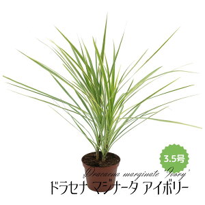 ~fBvc hZi }Wi[^ AC{[ 3.5