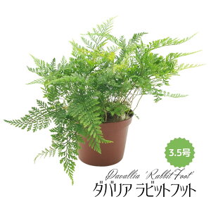 ~fBvc _oA rbgtbg 3.5