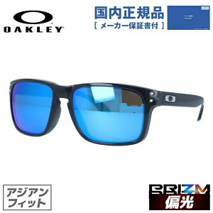サングラス オークリー 偏光 ウェリントンの人気商品・通販・価格比較 