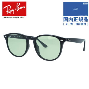 �y�������K�i�z���C�o�� �T���O���X �A�W�A���t�B�b�g Ray-Ban RB4259F 601/2 53�T�C�Y �{�X�g���^ ���j�Z�b�N�X �����Y ���f�B�[�X