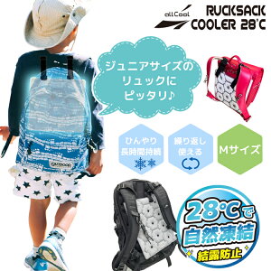 allCool 28PCMbNTbNN[[ MTCY AC-RSC002M-GY hZ Y fB[X jZbNX LbY WjA ʋ ʊw ΍ MǑ΍