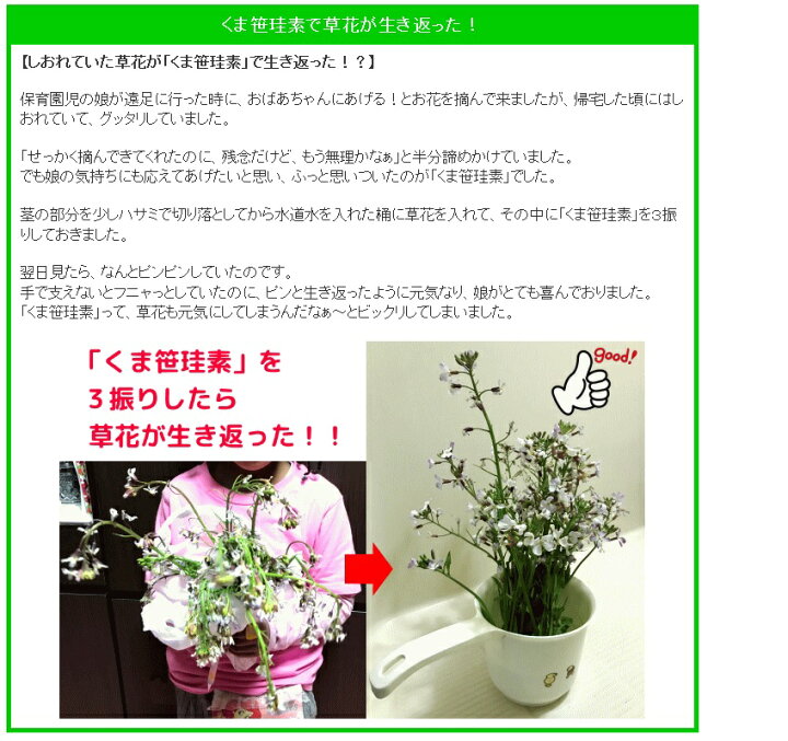 楽天市場 くま笹珪素 クマ笹ケイ素 1個 熊笹 くま笹 クマ笹 クマザサ 青汁 珪素 ギフト プレゼント オプティマルライフショップ