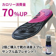 ダイエット インソール 中敷 インソール 痩せる インソール ツインボール 体幹筋 体幹エクササイズ イン…