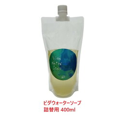 送料無料　メール便（テネモス・飯島秀行）Vida Water Soap（ビダウォーターソープ）詰替用 1個【石鹸 せっけん ボディソープ ソープ ナチュラル】