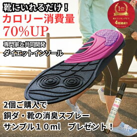 ダイエット インソール 中敷インソール 痩せる トレーニング ツインボール 体幹筋 体幹エクササイズ インソール 靴 極薄素材 滑り止め ウォーキング バランス 筋力UP カロリー消費 O脚 送料無料 エクササイズ ダイエット 体幹トレーニング 痩せる 足痩せ 脚痩せ スニーカー