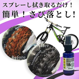 サビ落とし プロ仕様 サビピカ 30g 詰替用200g さび取り 業務用サビ取り 錆取り サビピカ スプレー 風呂 蛇口 鏡 キッチン ホイールプロ仕様 詰替用・産業・工場用サビ さび さびとり さび落とし 自転車 スプレー 台所 流し台 ステンレス お風呂場