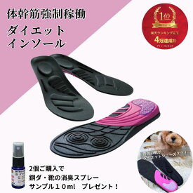 ダイエット インソール 中敷 インソール 痩せる インソール ツインボール 体幹筋 体幹エクササイズ インソール 衝撃吸収 姿勢矯正 バランス 筋力UP トレーニング O脚 猫背改善 内転筋 体幹 筋力アップ 体幹トレーニング 痩せる 美脚 美姿勢 足痩せ 脚痩せ 送料無料