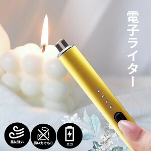 �[�d���v���Y�}���C�^�[ �S�[���h ���S�@�\ ���ɋ����d�q���C�^�[ �J��Ԃ��g���� �o�ϓI ��Q�� �d�q���C�^�[ USB�R�[�h�t�� �o�ϓI