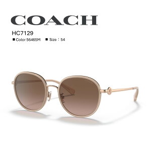 Ly[Ԓ@Ȃ30OFFyKizR[`bCOACH HC7129_56465M TOX