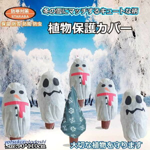 AیJo[ AhJo[ NX}X  hJ Aۉlbg sDz Rt h h A ی ~ph΍ O |pi