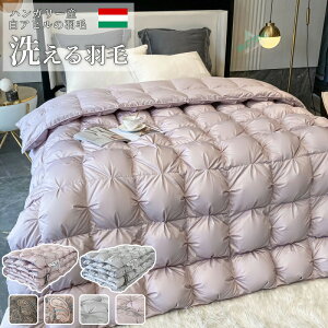 Hѕzc ̓O[X  Hѕzc zCgO[X_E 95 RCh[ 􂦂 VO Z~_u _u R h_j O[X zCgO[X |zc |zc Hъ|zc g