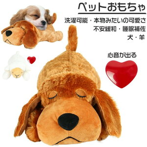 ʂ  Lp ybgpi  ybg ؂̂ I ᔠ  So n[gr[g n ⏕ߋ sPp XgX@\ sɘa 