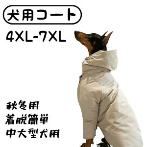 pR[g ~ NVbN GRth[ _ n ^p h[x} {[_[  pAE^[ ^p ybgpi  Vv H~p Mtg v[g TCYW