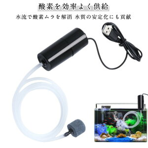 GA[V Zbg GAXg[ʃ`X USBGA|vZbg GAXg[ d C |v _f ANAE u _J Mы  p S S   ybg C