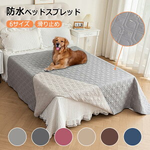 hV[c xbhXvbh xbhJo[ ybg ` hV[c Lg Ƌی }`Jo[ n h ʋC z ~ 􂦂 \t@[Jo[ hoJo[ h~  Lp 