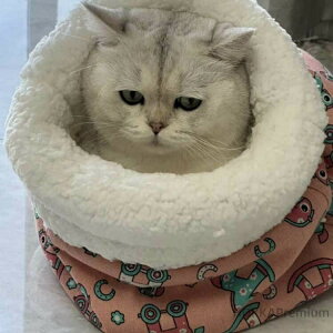 yzLbgnEX  ybgp 􂦂 Q ^ H~ Lp Lxbh Lzc ybgxbh ybgzc