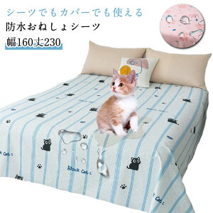 h hJo[ gCg[jO h_j z  ˂V[c 炵΍ L VjA OK q Q΍ xbhhJo[ ybg h zc ˂ hJo[ |zc