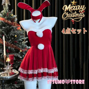 T^ RXv fB[X s[X  Xmas NX}X ~  Cxg ߑ T^ T^N[X  T^RX G  RX`[ p[eB mm006zb