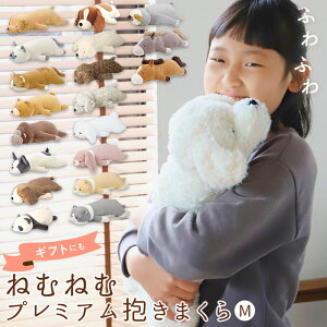  ʂ D] ˂ނ˂ރAj}Y M ܂ ܂  NbV ܂ v~A˂ނ˂ރAj}Y Q LIV HEART Ԃ͂ n  lR L ˂   Ck 