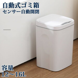 S~ ZT[SJ 12`16L TCY ݔ ӂt LEDt X c^ ZT[ _Xg{bNX ZT[ t^t dr [d Ȃ ~[g^Cv dV[ 