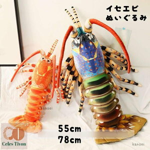 ʂ CZGr nEB NbV 傫 ʂ݃|[` ɐCV  N ঒ A nEB   a ǂ̓ 傫TCY LbY q 킢