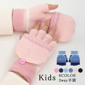 �O���[�u �q�ǂ� 2way ��� �������� �h�� �g���� way �h�� �L�b�Y �A�j�}�� ���̎q �j�̎q �q�� �w�؂��� �w�Ȃ� �h���΍� ������ �A�E�g�h ���f�B�[�X �����Y ���킢��