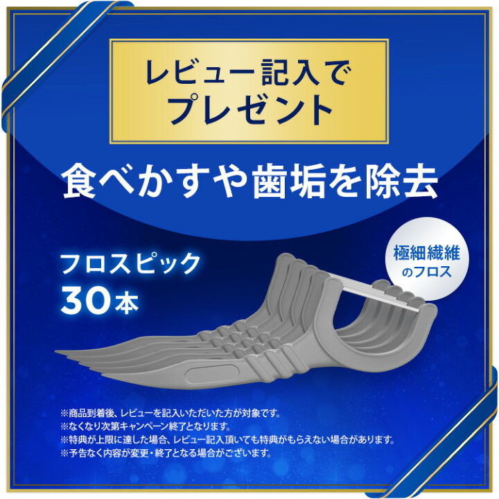 楽天市場】【ポイント20倍】オーラルB 電動歯ブラシ iO9 