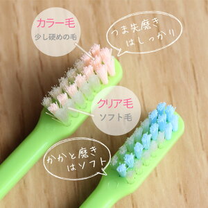 楽天市場 税込1000円ポッキリセール 送料別 本入り 歯科医院専用商品 Ci Proplus プロプラス 大人用 一般 歯ブラシ 本 メール便可 2セットまで オーラルケアのdod