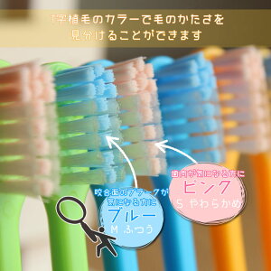 楽天市場 税込1000円ポッキリセール 送料別 本入り 歯科医院専用商品 Ci Proplus プロプラス 大人用 一般 歯ブラシ 本 メール便可 2セットまで オーラルケアのdod