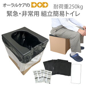 y10/1IP2{IzyzgȈՃgC 1Zbg pgC h ЊQ nk 䕗 p ~ hL Rہy[֕sz