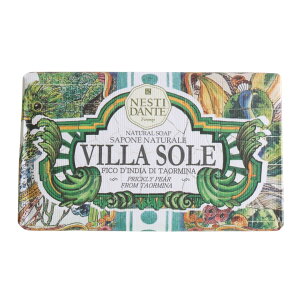 lXeB_e B\ V[Y 250g 1 Ό  ΂ Ō`  COuh C^A oXTCY Mtgy[֕sz