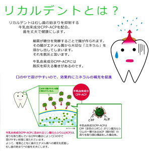 楽天市場 2個 リカルデント ボトルガム 歯科医院専用 キシリトール配合 140g 粒ガム メール便不可 オーラルケアのdod