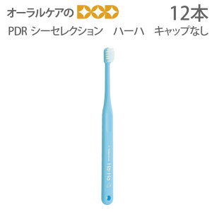 yzy11/1IP2{IzPDR quV V[ZNV n[n LbvȂ dグ݂p 12{y[։ 3Zbg܂Łz