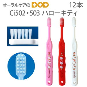 yzyō1000~|bLZ[Iz() yȈ@ꔄiz Ci quV n[LeB 502(ӂ) 503(炩) ǂuV `wZwN 12{yLN^[