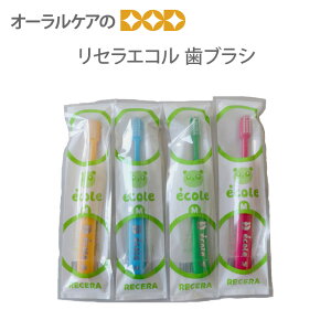 yzyō1000~|bLZ[Iz(ʓr) Ci quV Z GR Recera ecole ǂuV 12{y[։ 2Zbg܂Łz